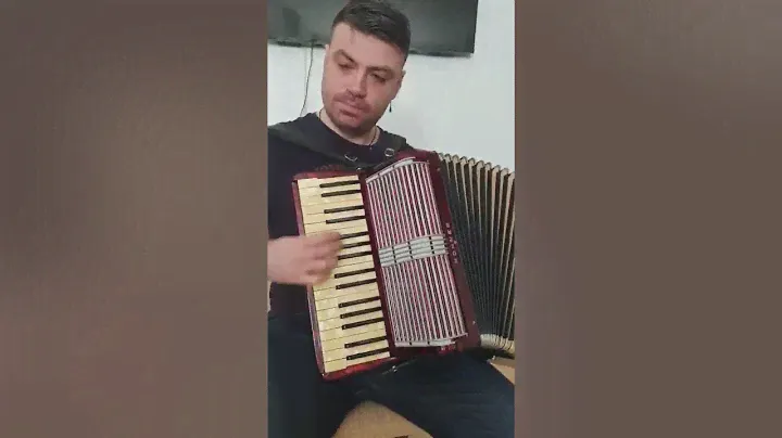 Mostra Sunet Hohner Verdi II 80 bași !